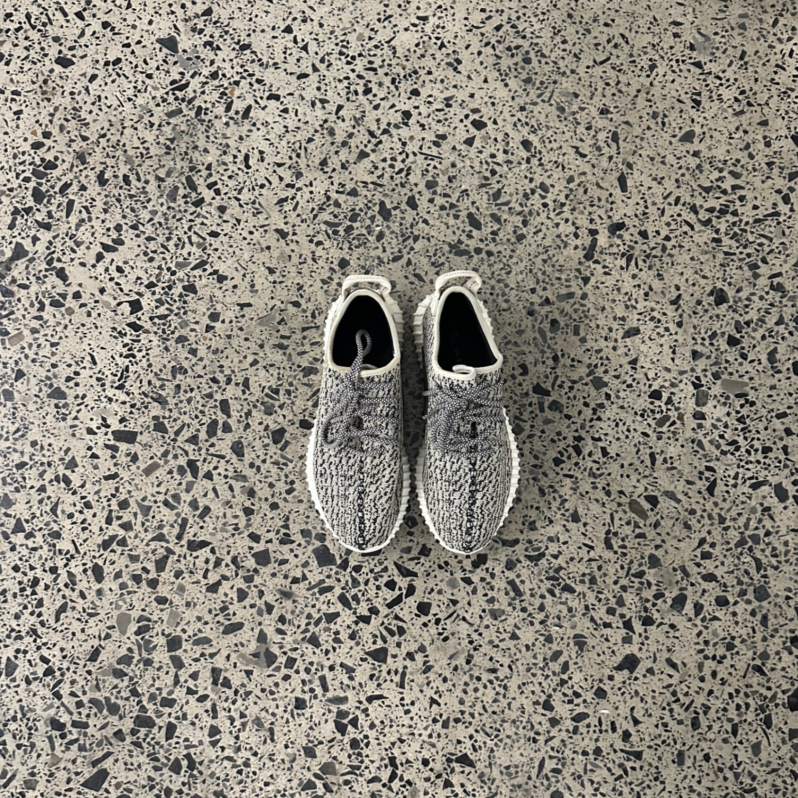 adidas Yeezy Boost 350 Turtledove