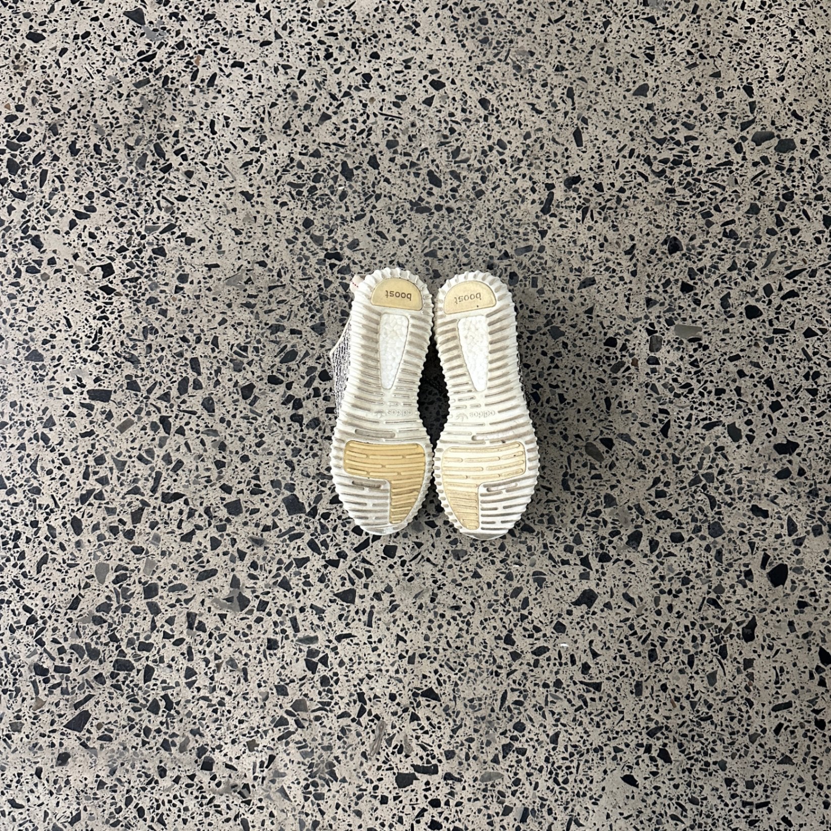 adidas Yeezy Boost 350 Turtledove