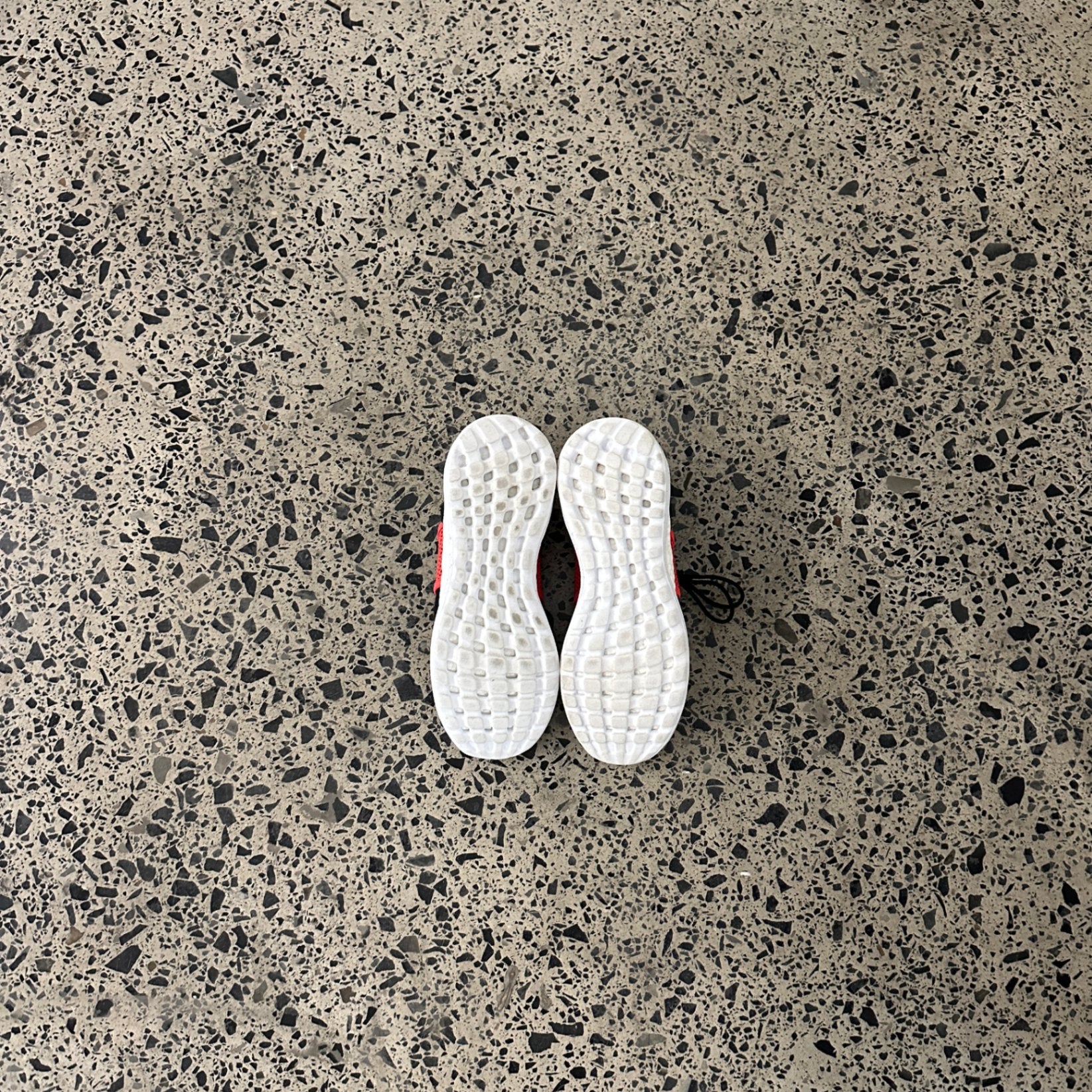 adidas Pureboost ZG Livestock Rhythm
