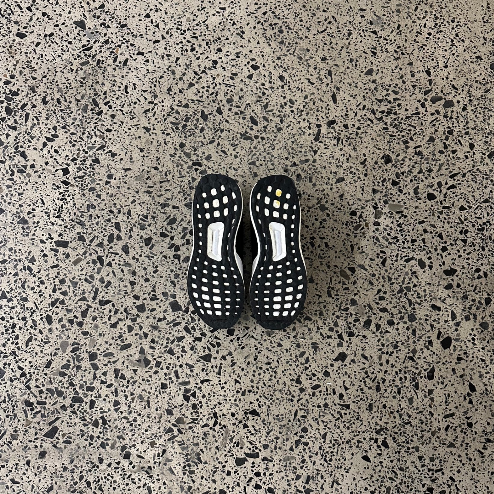 adidas Y-3 Rhisu Run Multi