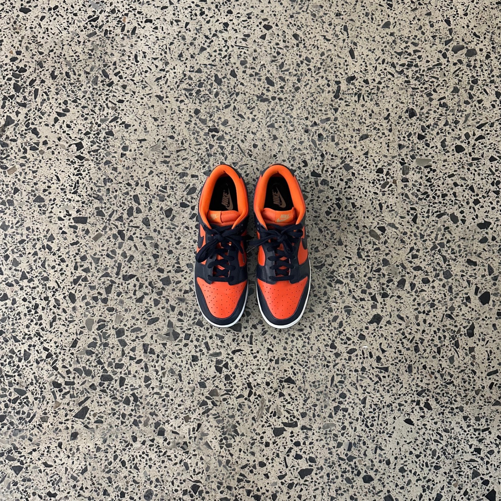 Nike Dunk Low SP Champ Colors University Orange Marine (2020)