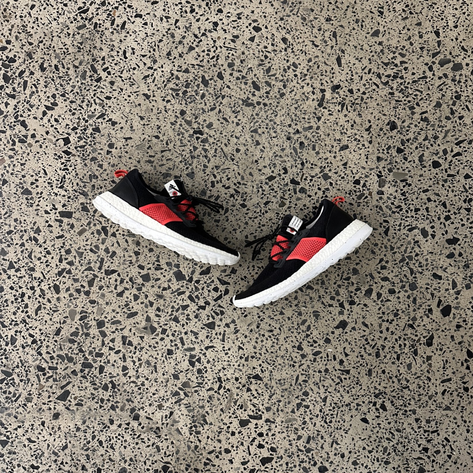 adidas Pureboost ZG Livestock Rhythm
