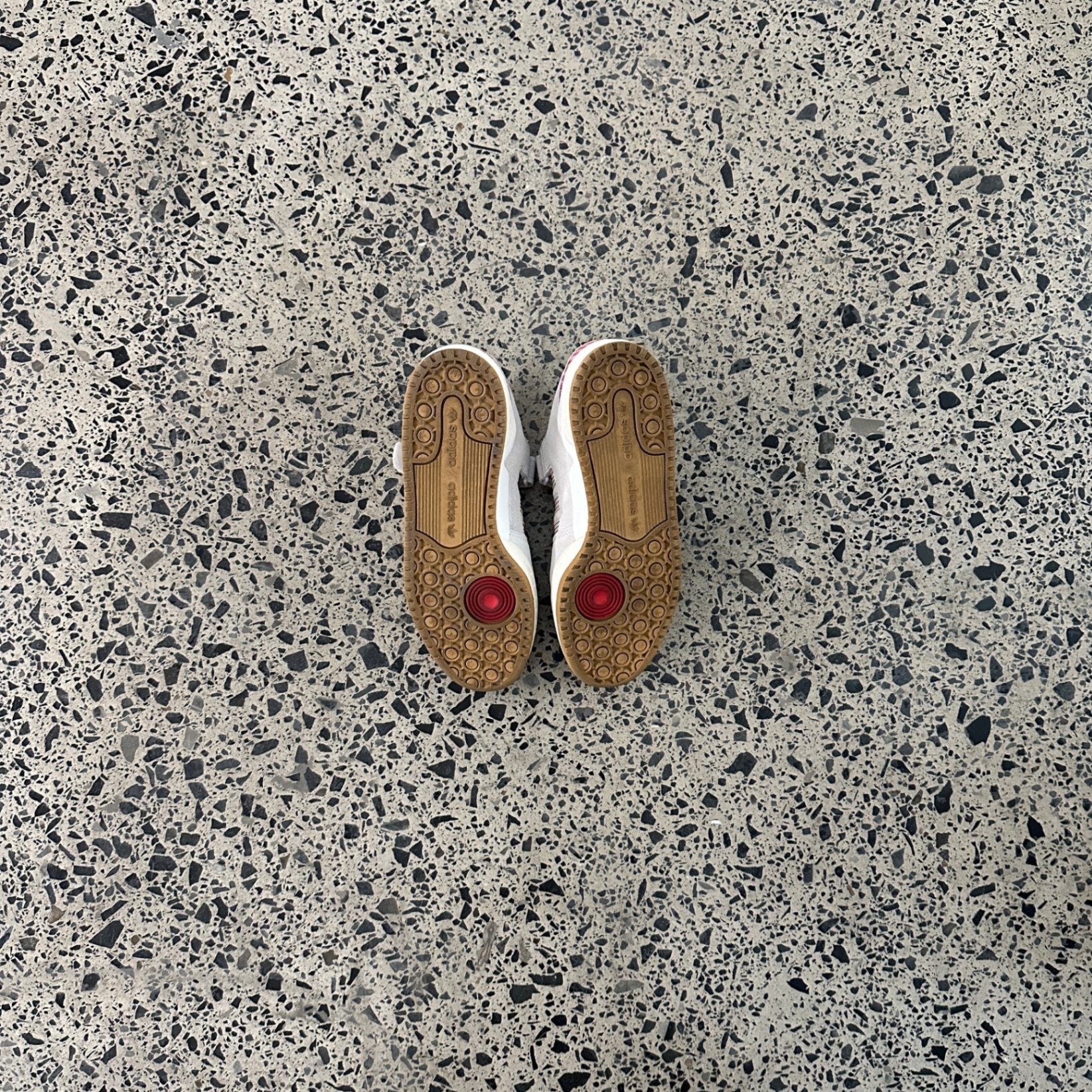 Adidas Forum 84 Low Arwa Al Banawi