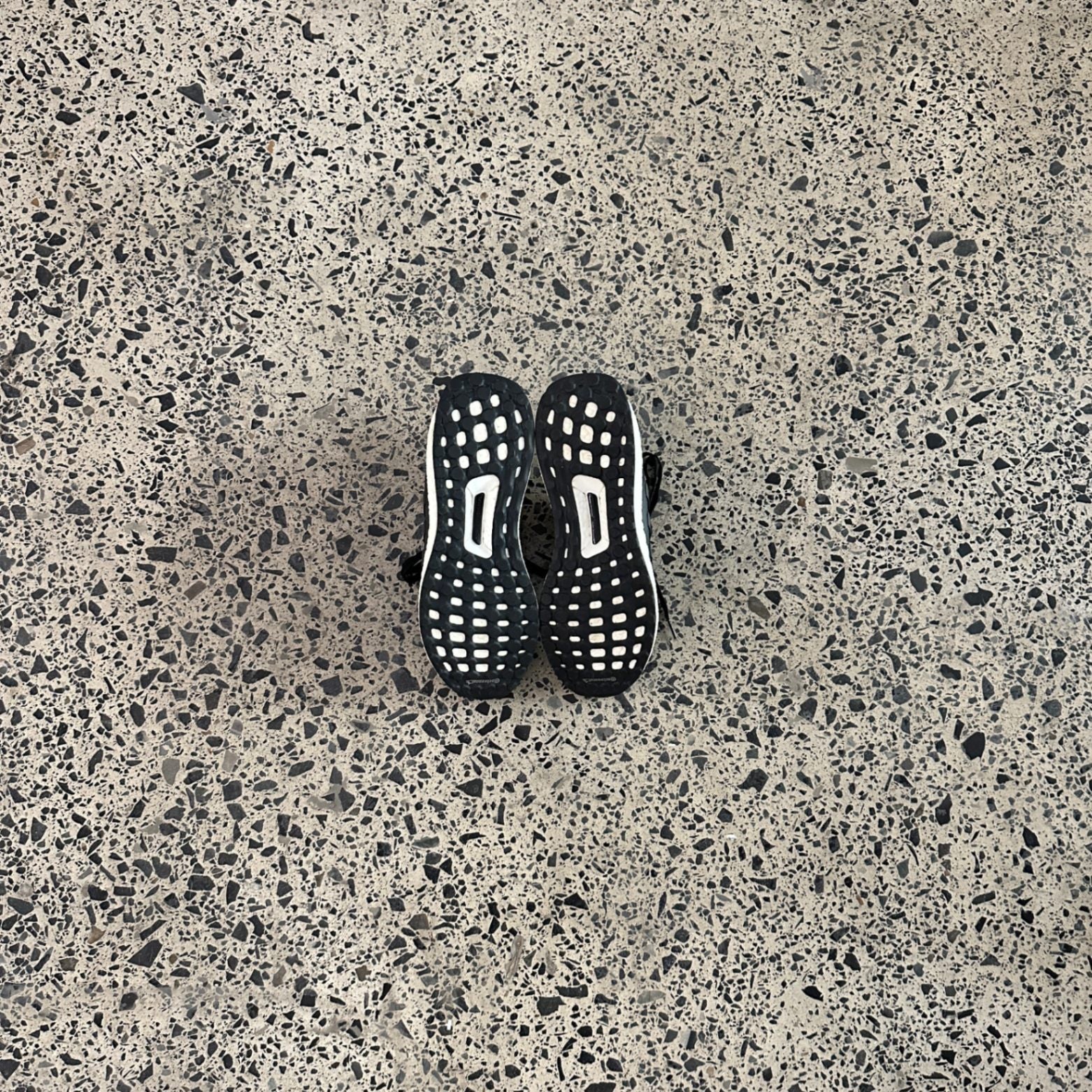 adidas Ultra Boost 1.0 Reigning Champ