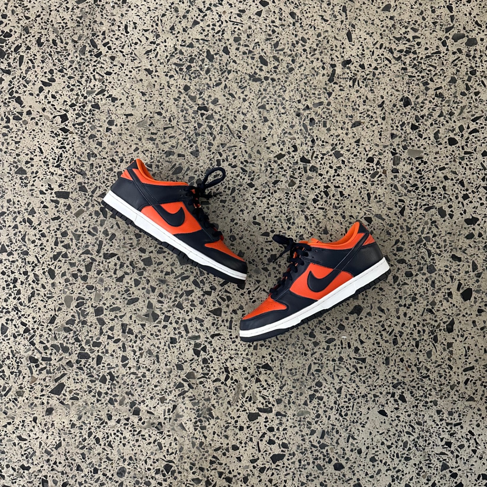 Nike Dunk Low SP Champ Colors University Orange Marine (2020)