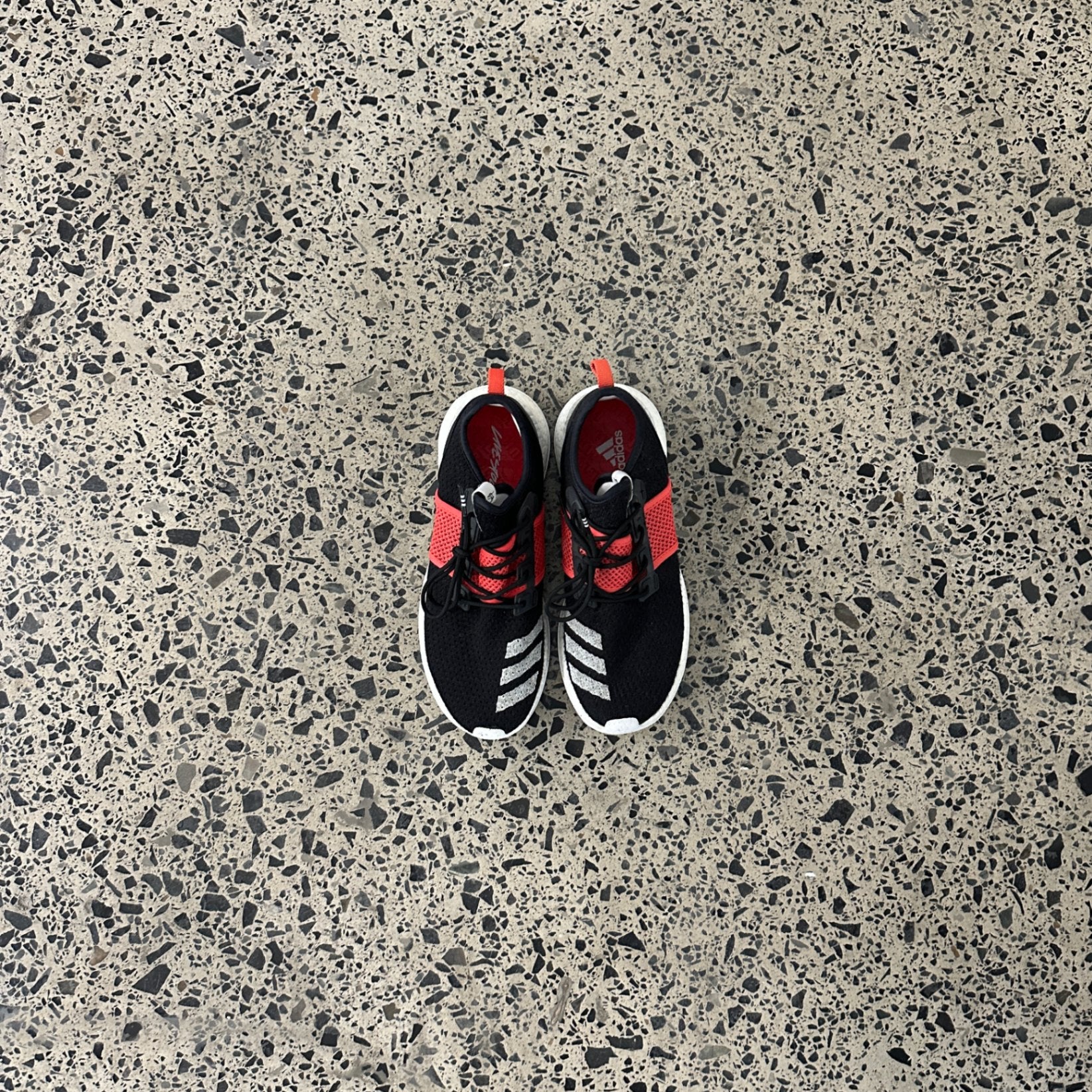 adidas Pureboost ZG Livestock Rhythm