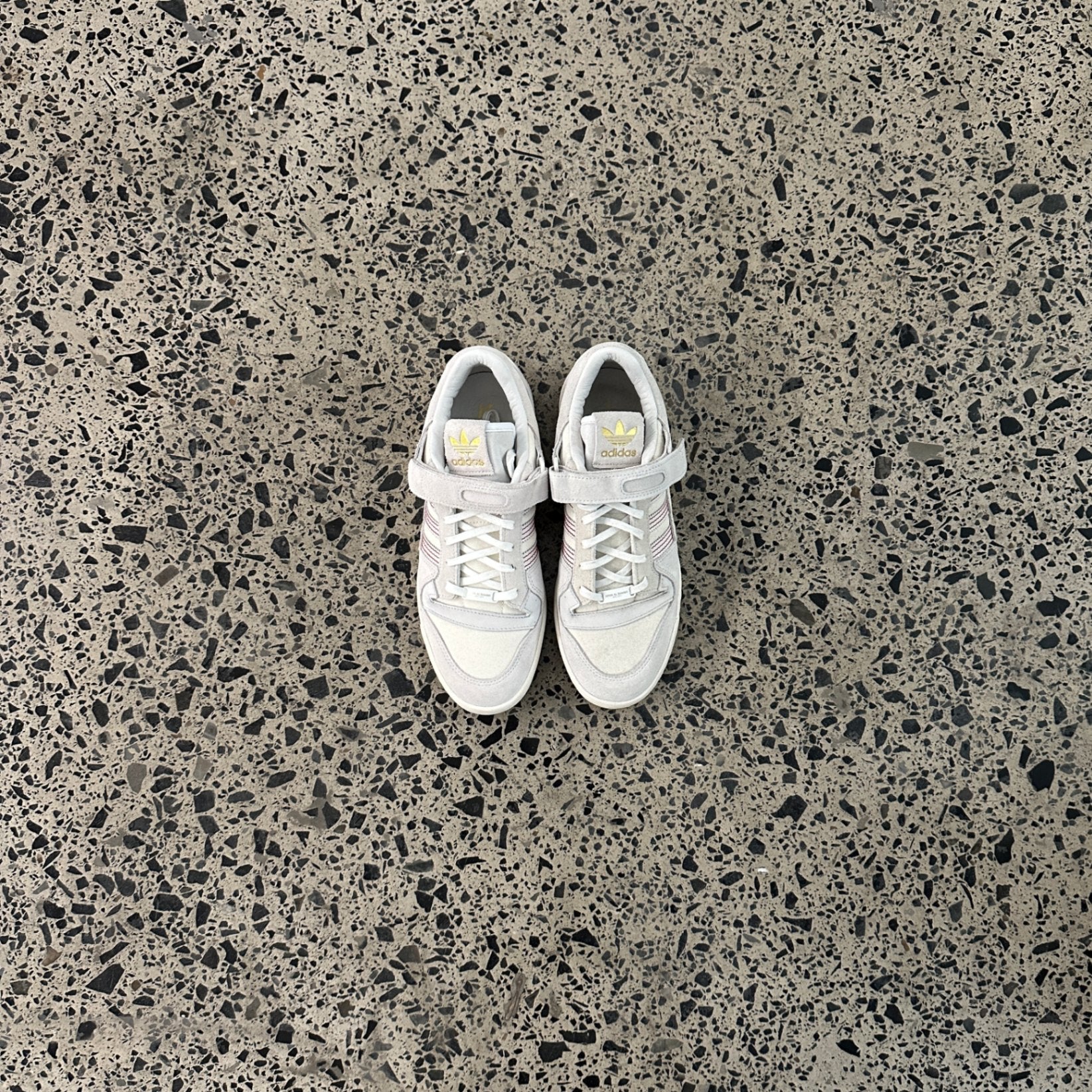 Adidas Forum 84 Low Arwa Al Banawi