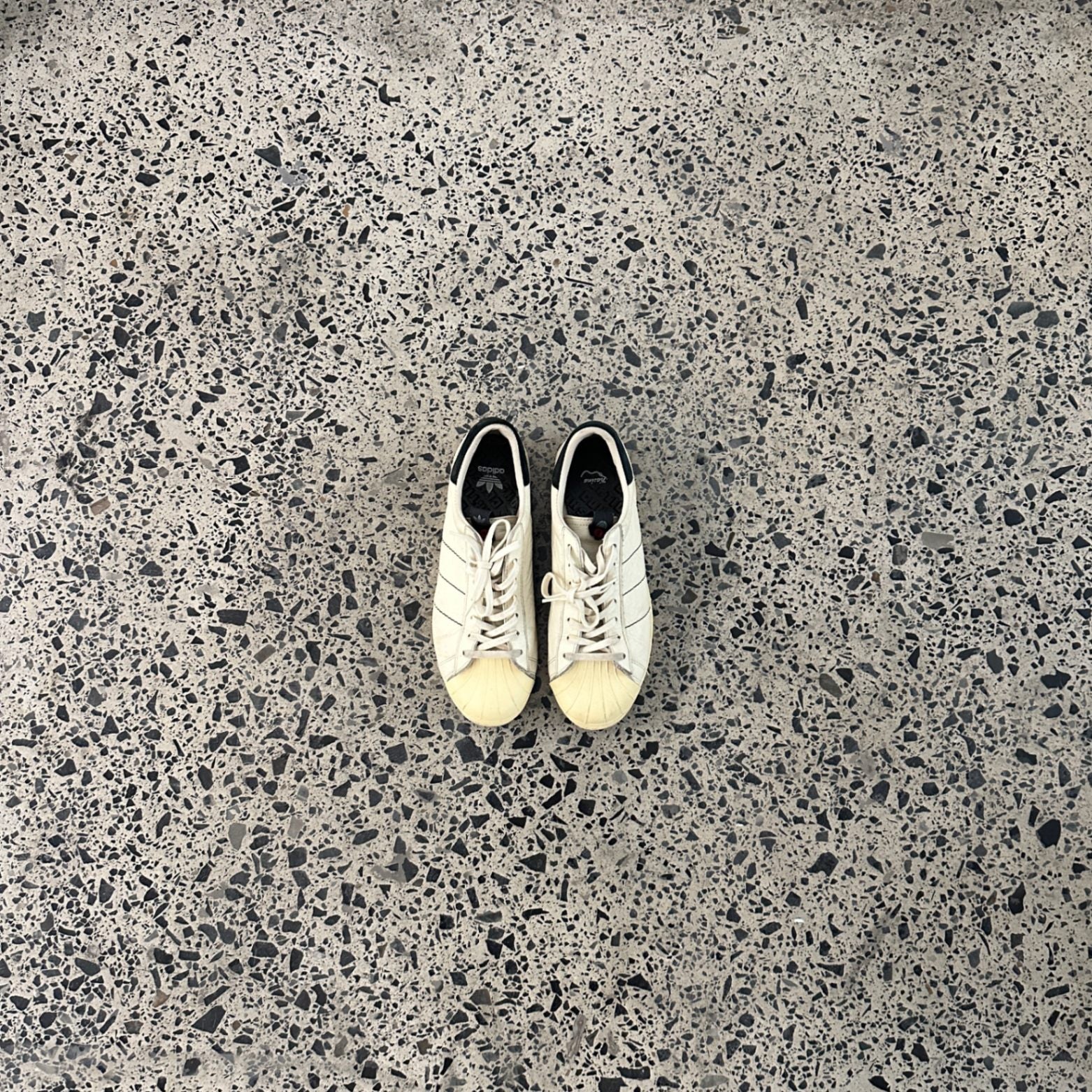 adidas Consortium x Kasina Superstar