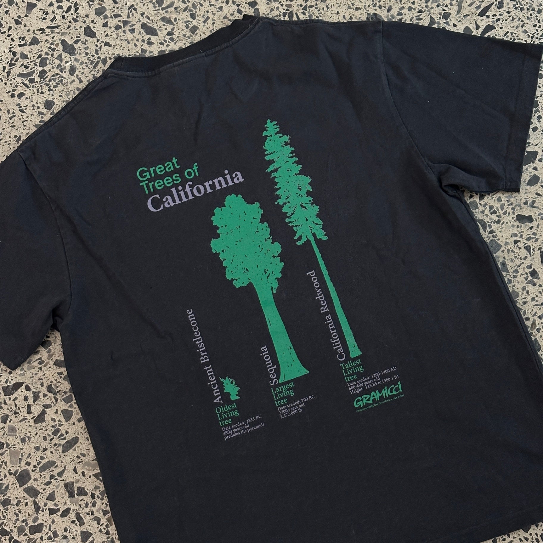 Gramicci Cali Trees T-Shirt Black