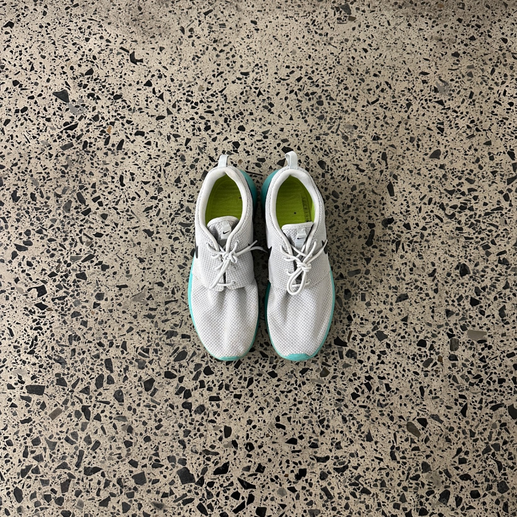Nike Roshe One QS Platinium