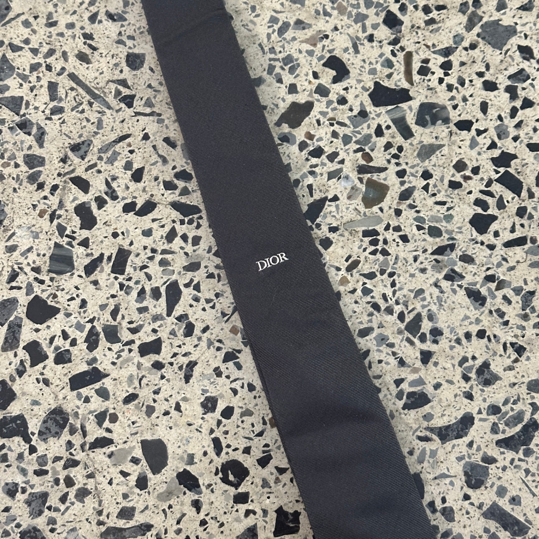 Dior Tie Grey