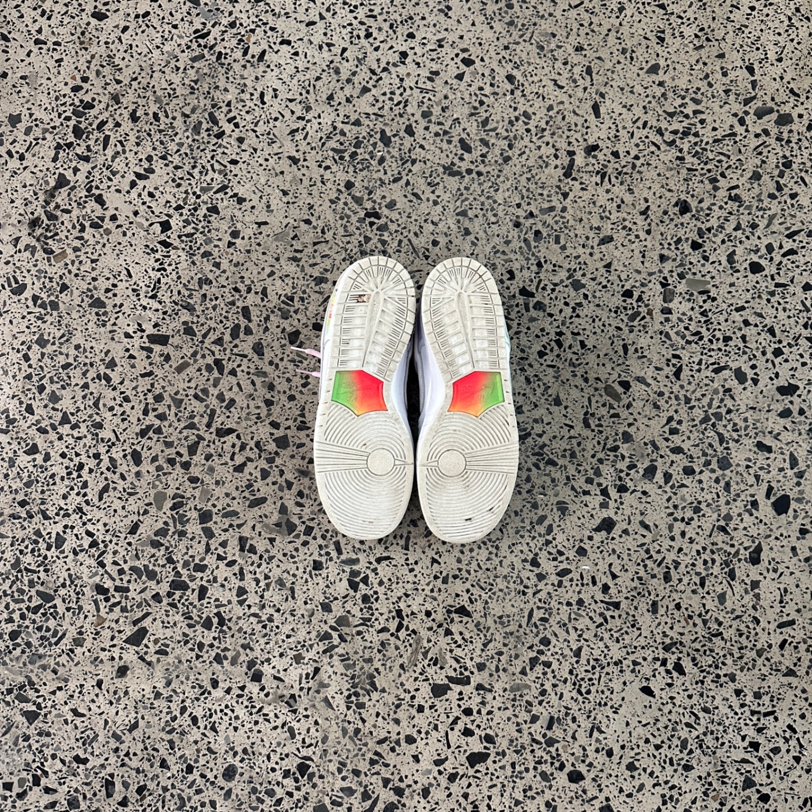 Nike SB Dunk Low Pro Be True