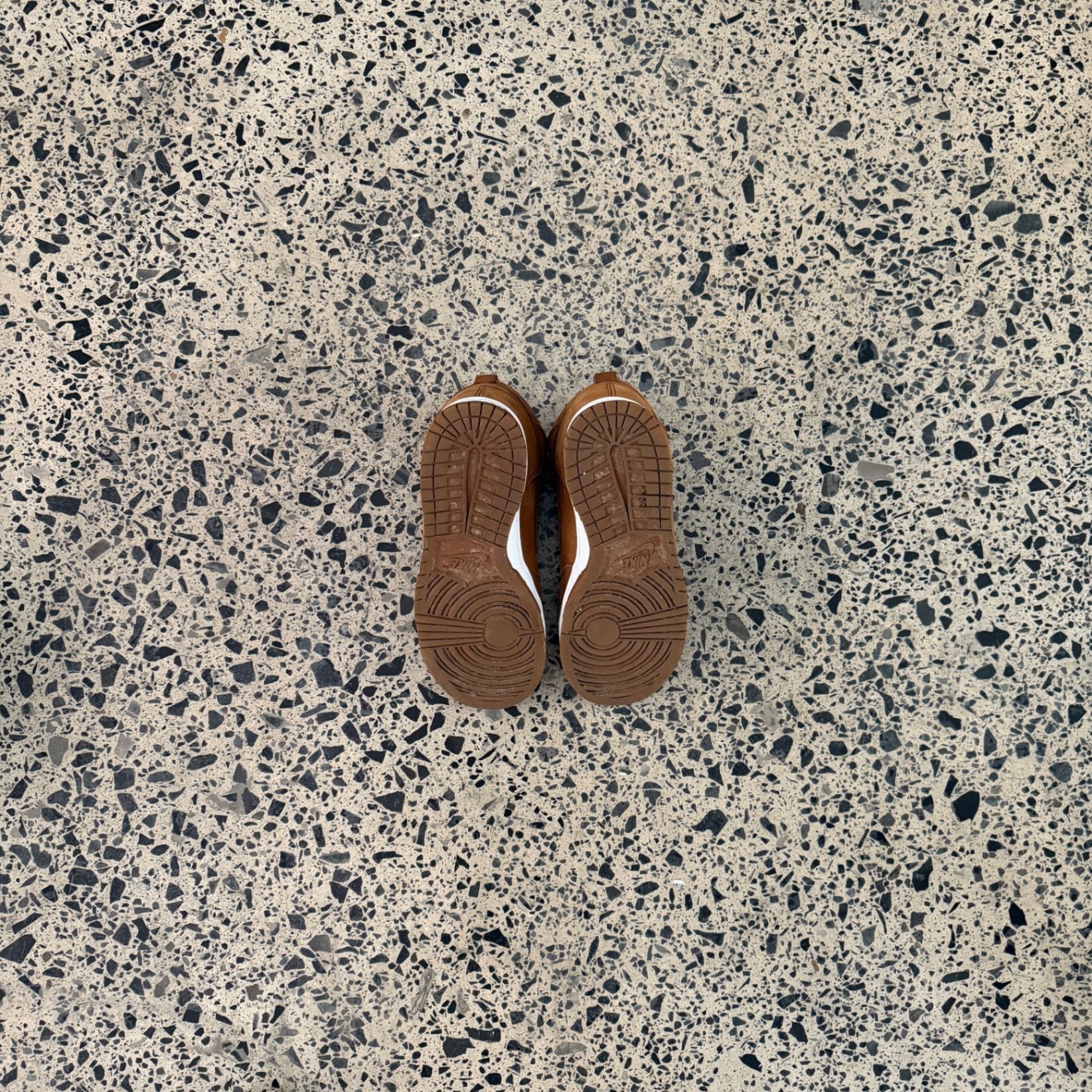 Nike Dunk High Premium Pecan (Women's)