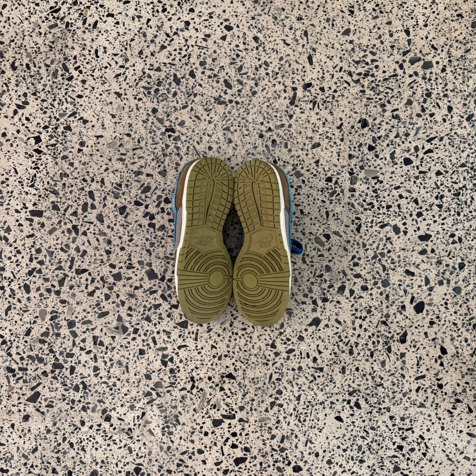 Nike Dunk Low NH Cacao Wow