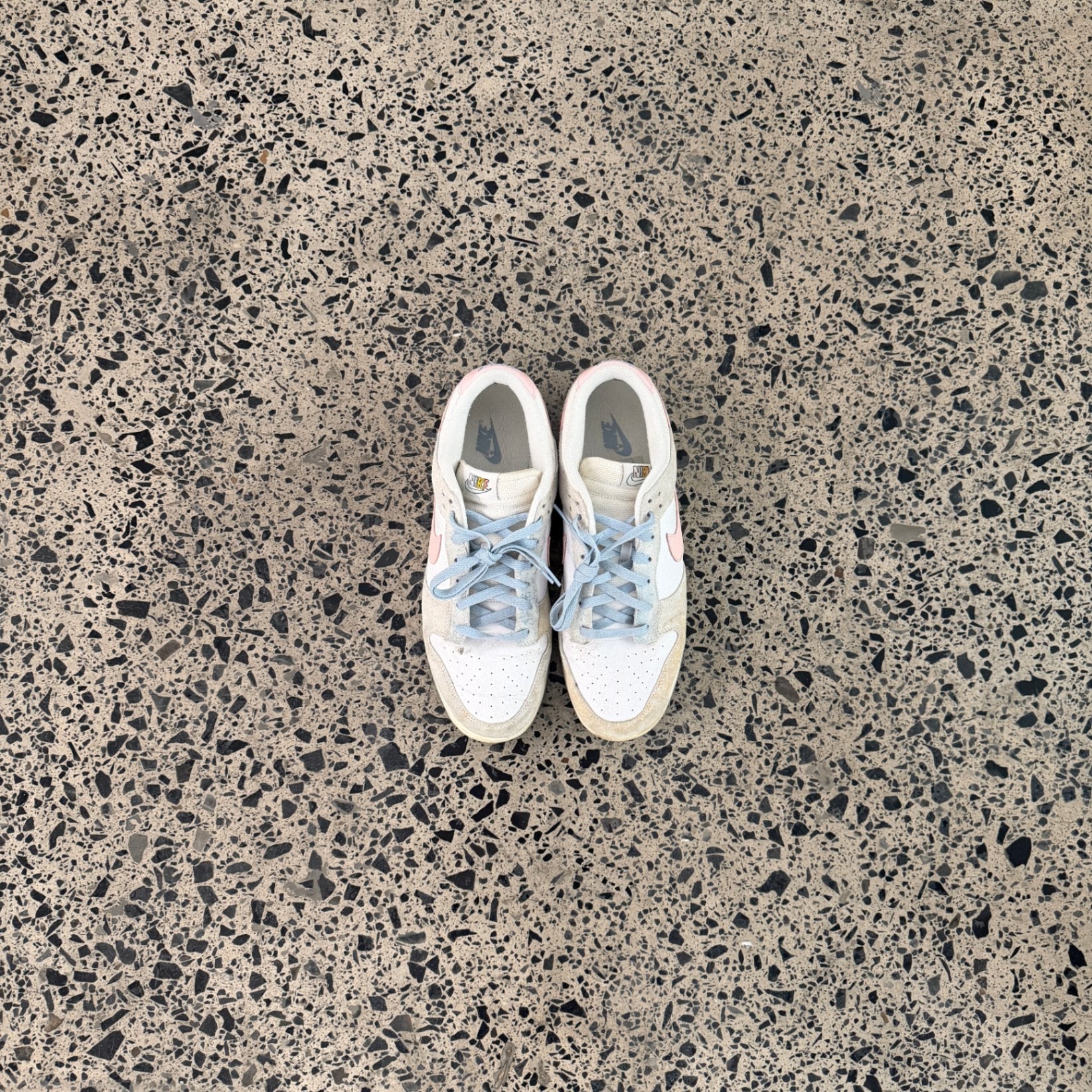 Nike Dunk Low Oxidized