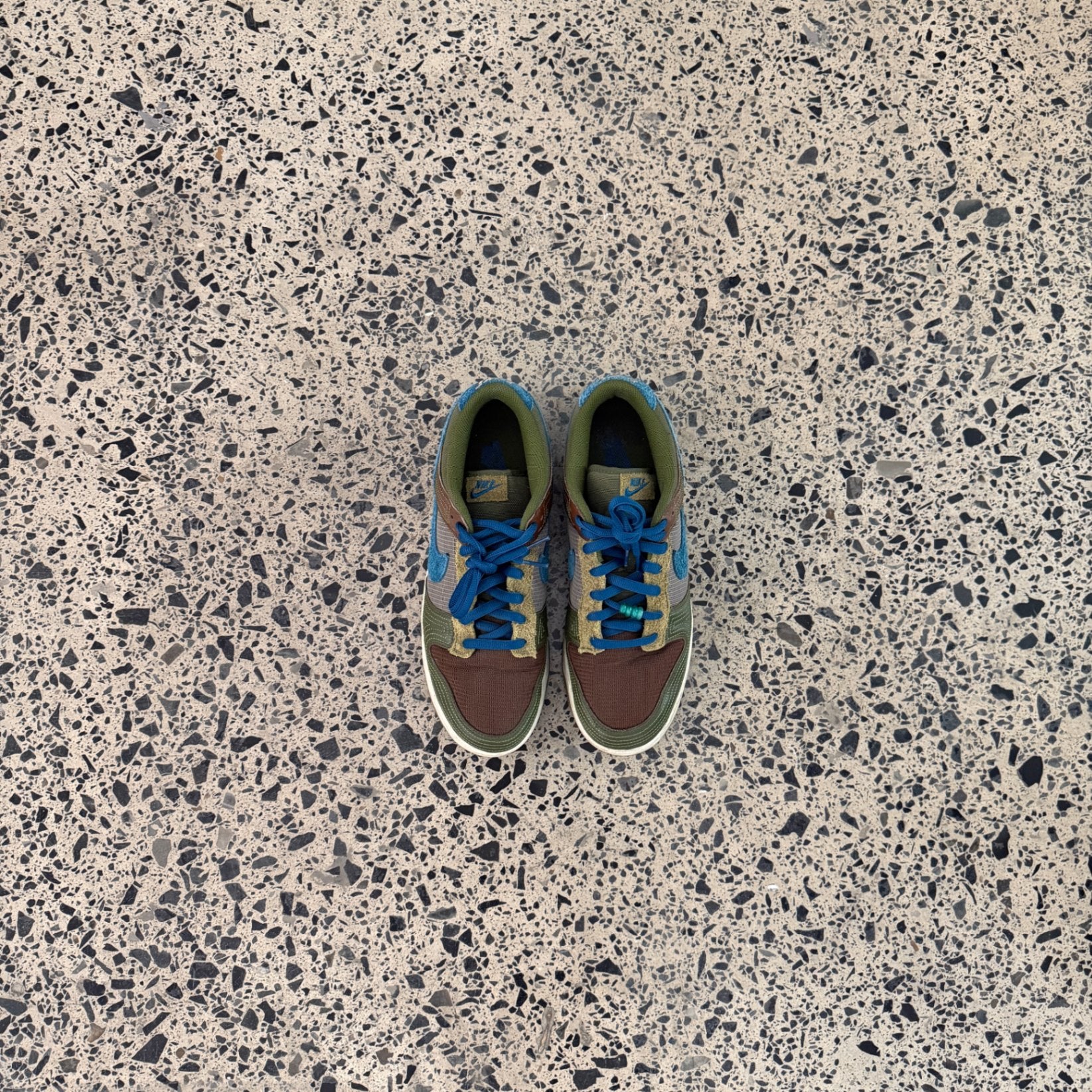 Nike Dunk Low NH Cacao Wow