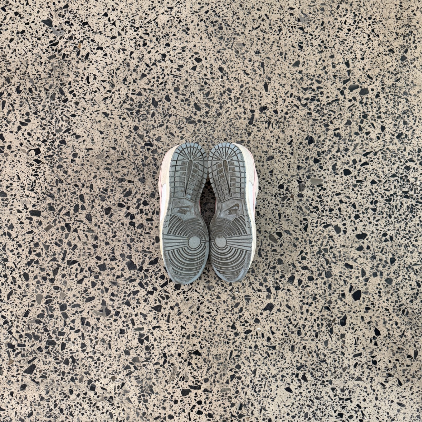 Nike Dunk Low Oxidized