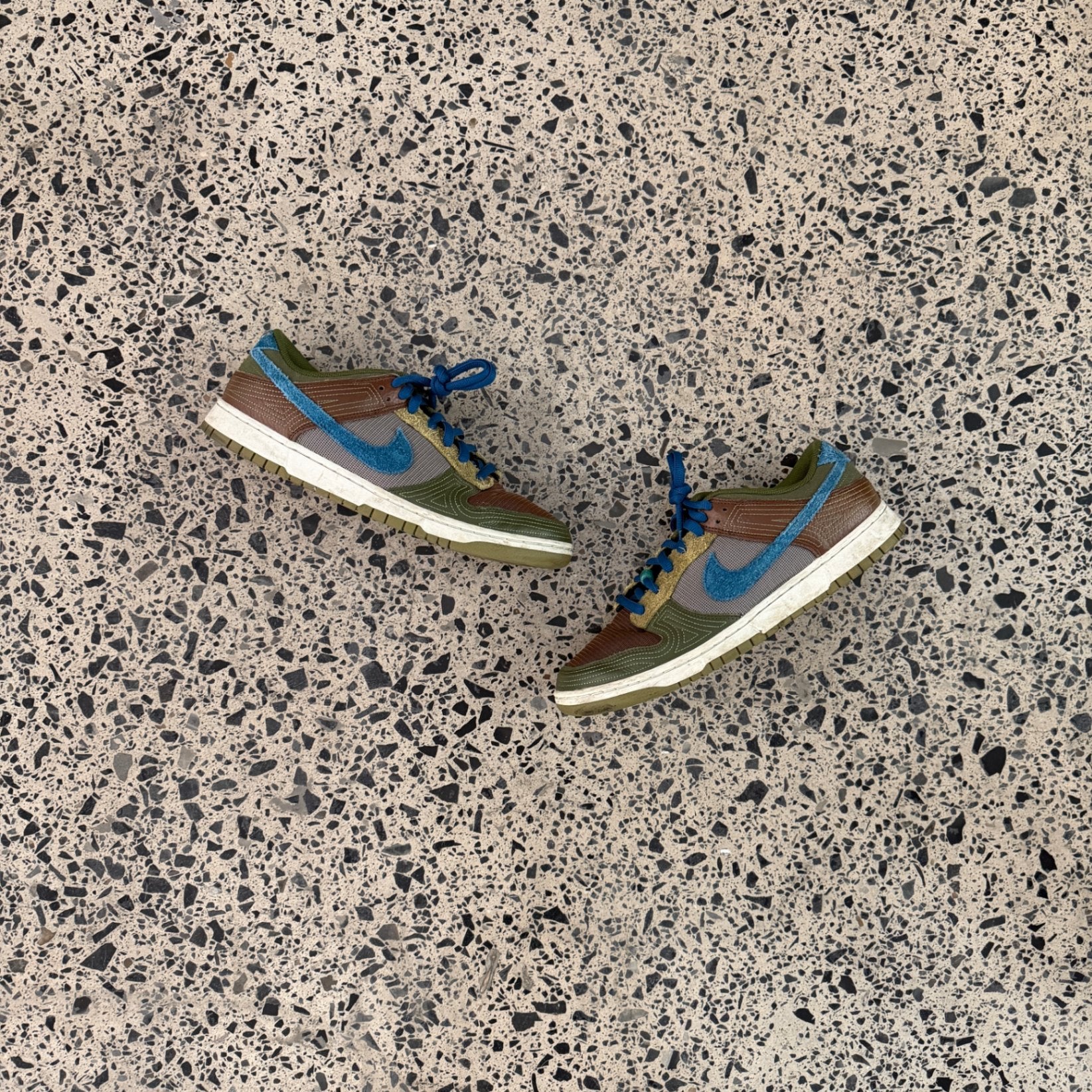 Nike Dunk Low NH Cacao Wow