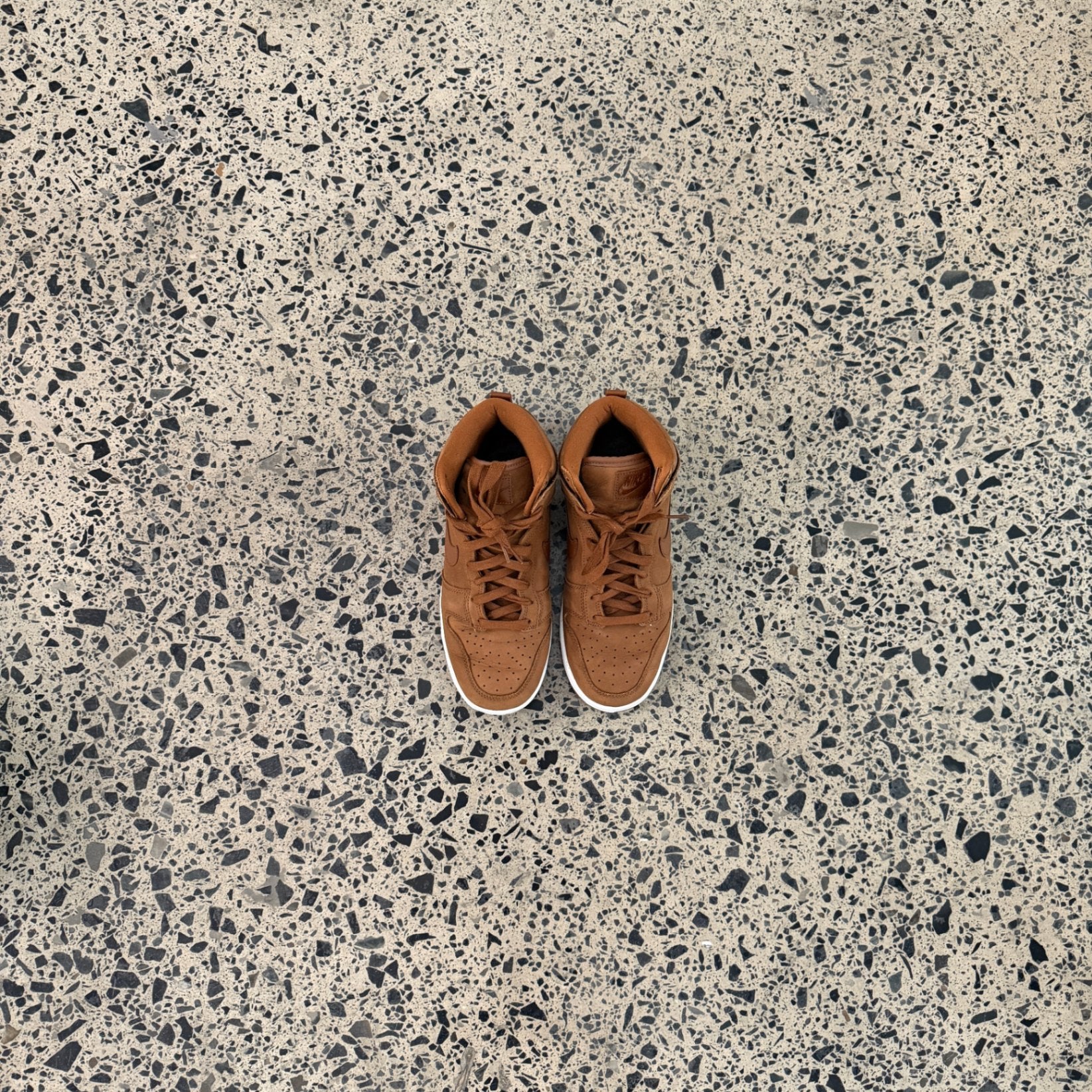 Nike Dunk High Premium Pecan (Women's)