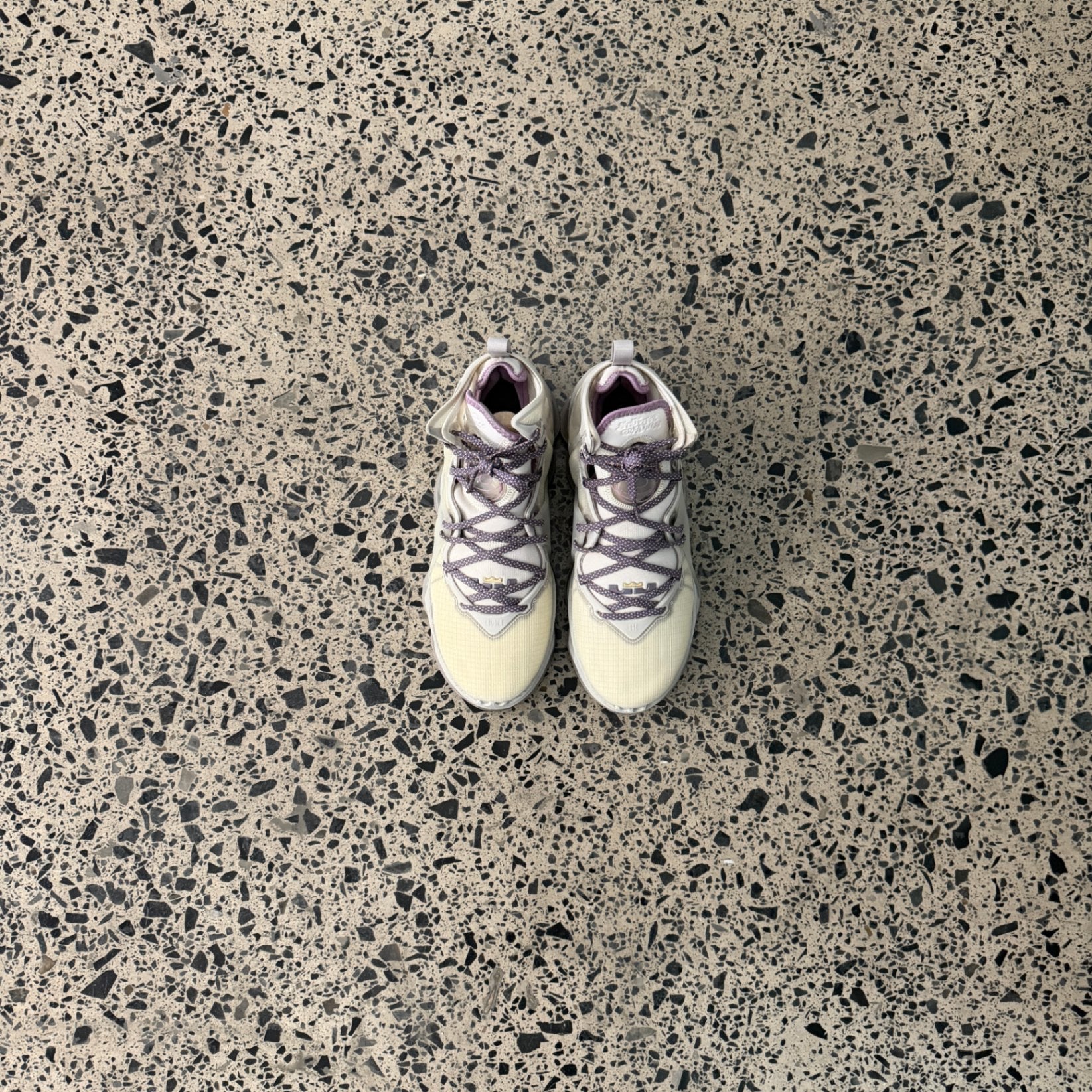 Nike LeBron 19 Strive For Greatness 